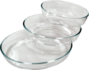 סט 3 תבניות זכוכית אובלי La Kitchenette