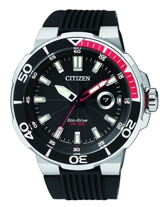 CiTiZEN AW142004E