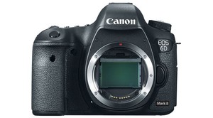 Canon EOS 6D Mark II Body - קרט