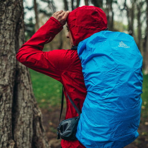 תיקי גרגורי