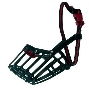 אילוף כלבים |  קמון 09 - מחסום פה לכלב 