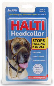 Halti רתמת ראש לכלב מידה 5 - הלטי