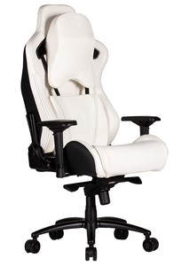 ‫‪GT SPORT DELUX GAMING CHAIR‬‬ DRAGON - כסא גיימינג מקצועי דרגון דגם ג