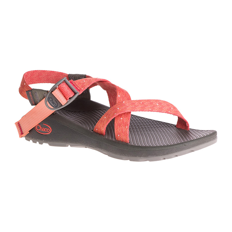 F104bd8088e62f291b70b5d8caacc8e3