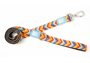 רצועות לכלבים | מקס אנד מולי - M רצועת סאמרטיים  