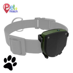 PetWatch Basic
