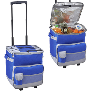 צידנית על גלגלים גדולה