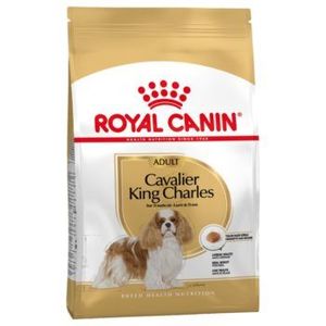 רויאל קנין Royal canin לכלב-קינג צ'ארלס בוגר- 3 ק"ג