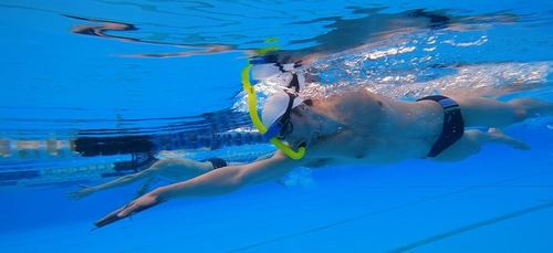 יעקב טומרקין – שחיין אולימפי, ייצג את ישראל בשתי אולימפיאדות וזוכה 5 מדליות באליפות אירופה