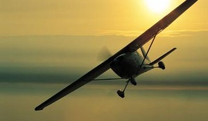 טיסה זוגית רומנטית וארוחה בראש פינה גימיק מתנות