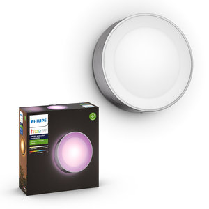 Hue Daylo Outdoor Wall Light *Silver* W&Color Ambiance 15W