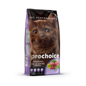 פרו צ'וייס PROCHOICE גורים כבש ואורז 2 ק"ג 