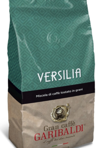 GARIBALDI VERSILIA