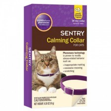 קולר הרגעה לחתול