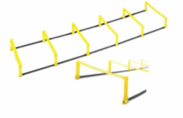 סולם משוכה 10 שלבים