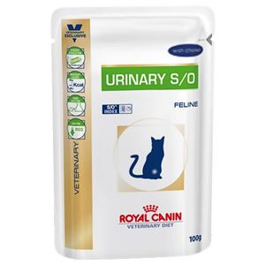 רויאל קנין Royal canin פאוץ' לחתול-יורינרי 85 ג' (12 יחידות)