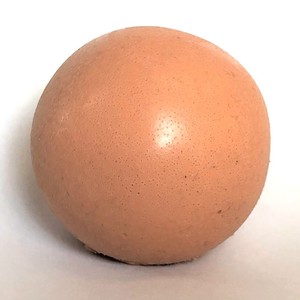 צבע גוף לסיליקון