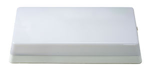 ניסקורית כיתוב לניסקורית