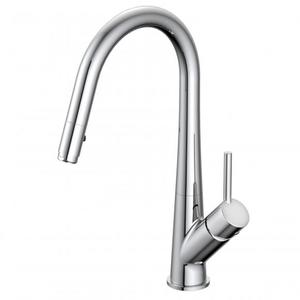 מדגל ברז מטבח נשלף גליל - 59818