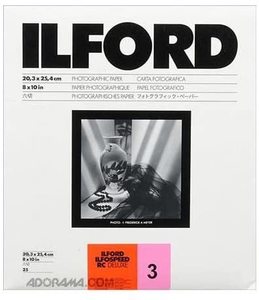 ilford 8x10 24 no2g