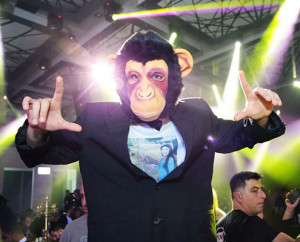 מסיבת קופים