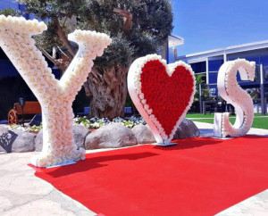 אותיות פרחים