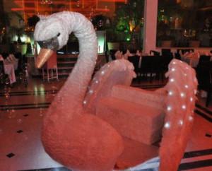 כניסת ברבור