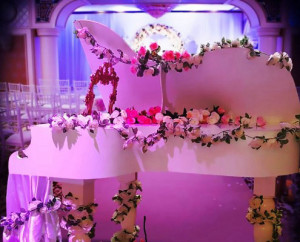 כניסת פסנתר כנף לבן