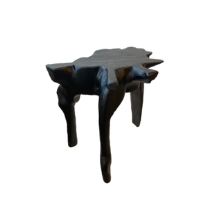 שולחן צד Roots - עץ טיק שחור 442274 # Design: Jan Kurtz