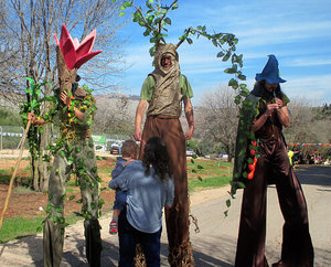 הולכי קביים