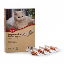 אמפולות סולאנו סולפרים לחתולים L