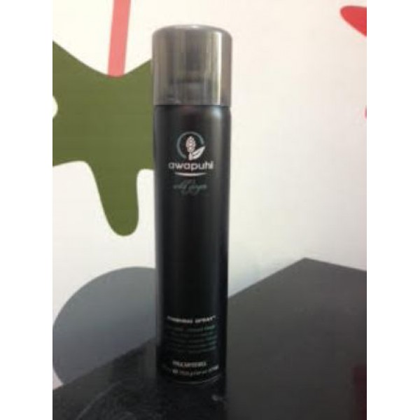 פול מיטשל ספריי פיניש 300 מ"ל