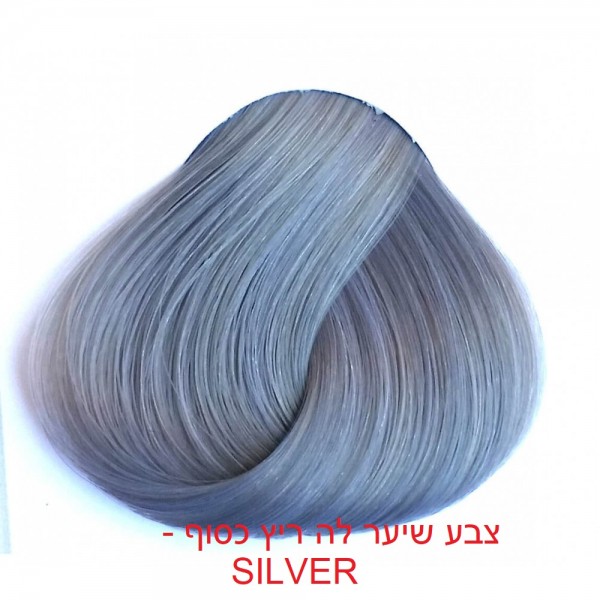צבע שיער לה ריץ כסוף - SILVER