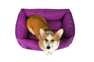 מיטת כלבים מלבנית סגולה XL  