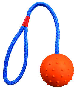 צעצועים לכלבים | כדור גומי עם חבל 30 ס"מ 