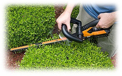 גוזם גדר חיה נטען 20V WORX WG261E.9 + סוללה ומטען 