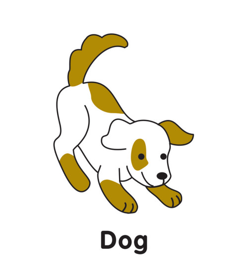 First Words - Animals