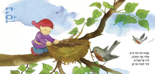 מארז בובה וספר: עונות השנה של אלדד