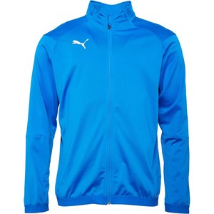 עליונית פומה - PUMA 