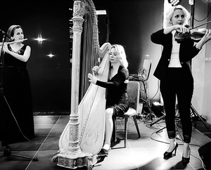 מופע נבל לייב