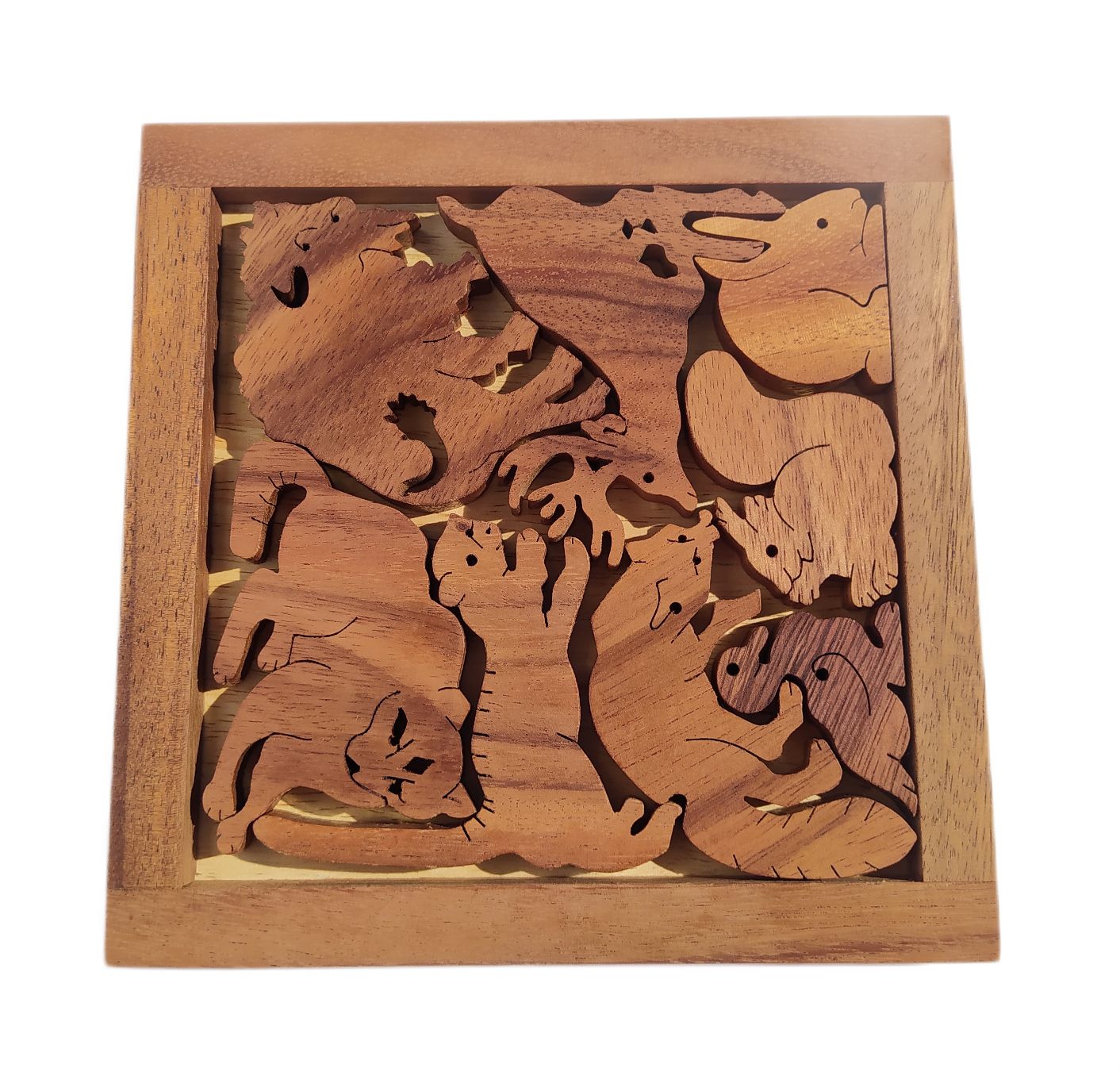 פאזל גן חיות