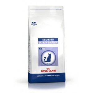 רויאל קנין Royal canin לחתול-נוטרד סטאייטי מאוזן 3.5 ק"ג