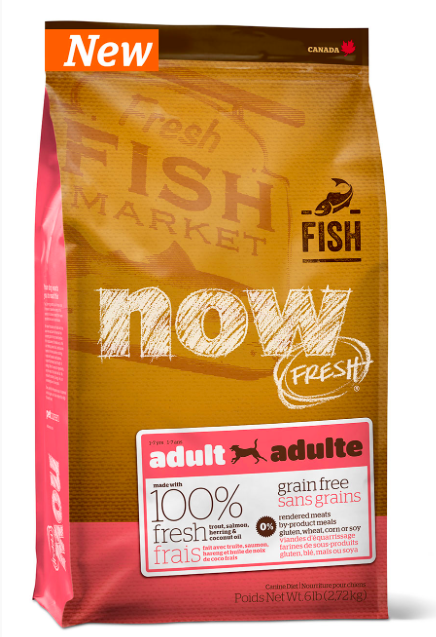 NOW דגים לכלב 11.3 ק"ג