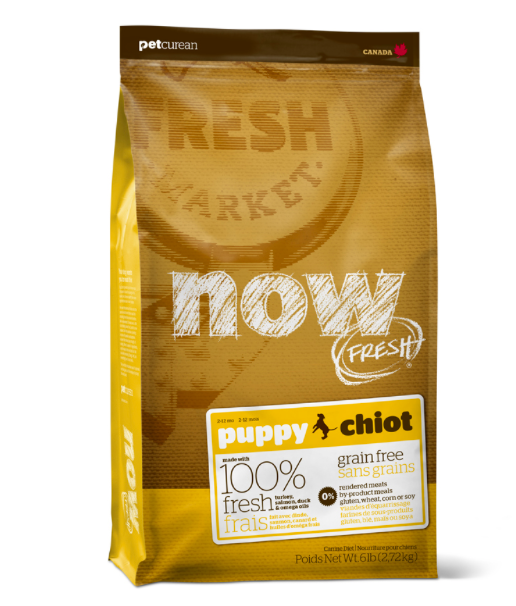 NOW לגורי כלבים 2.7 ק"ג