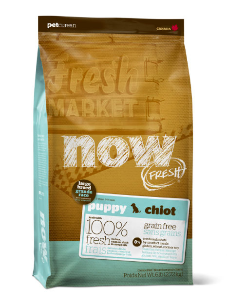 NOW לגורים מגזע גדול 11.3 ק"ג