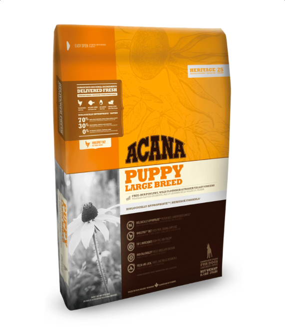 אקנה גור גזע גדול 11.4 ק"ג