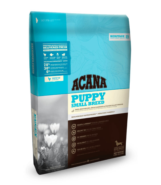 אקנה גור גזע קטן 6 ק"ג