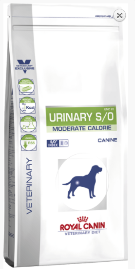 רויאל קנין מודרייט קלורי לכלב רפואי 1.5 ק"ג