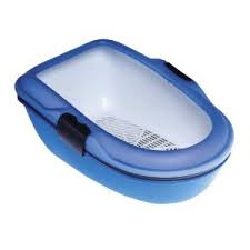 שירותי פורבה פתוחים