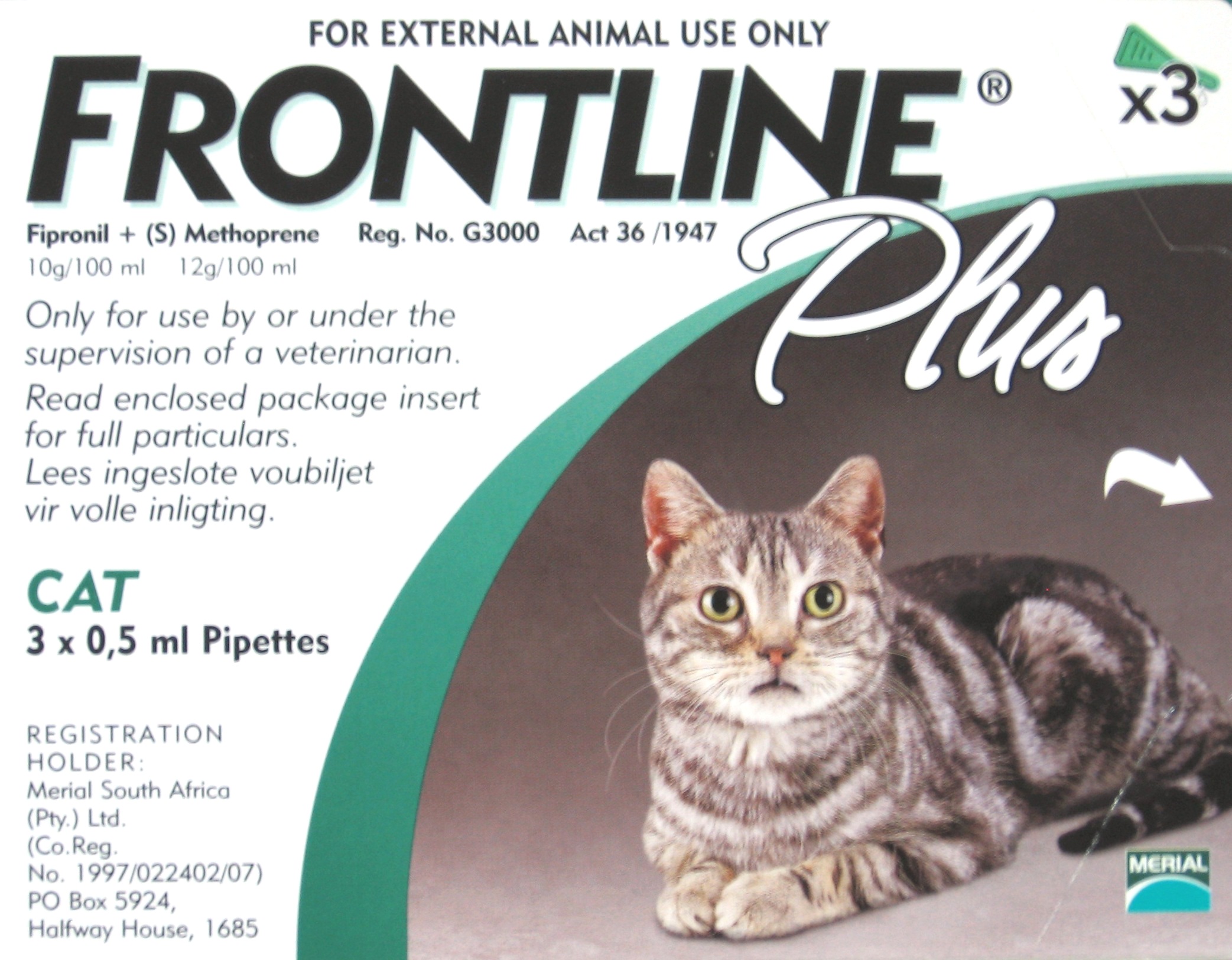 פרונטליין + חתול